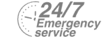 24/7 Emergency Service Pest Control in Plaistow, E13. Call Now! 020 8166 9746