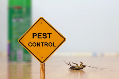Pest Contol in Plaistow, E13. Call Now 020 8166 9746